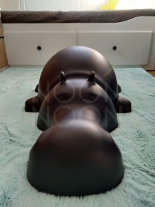 Idealny prezent dla przedszkolaka // D4 hippo