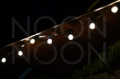 DSC02805a.jpg